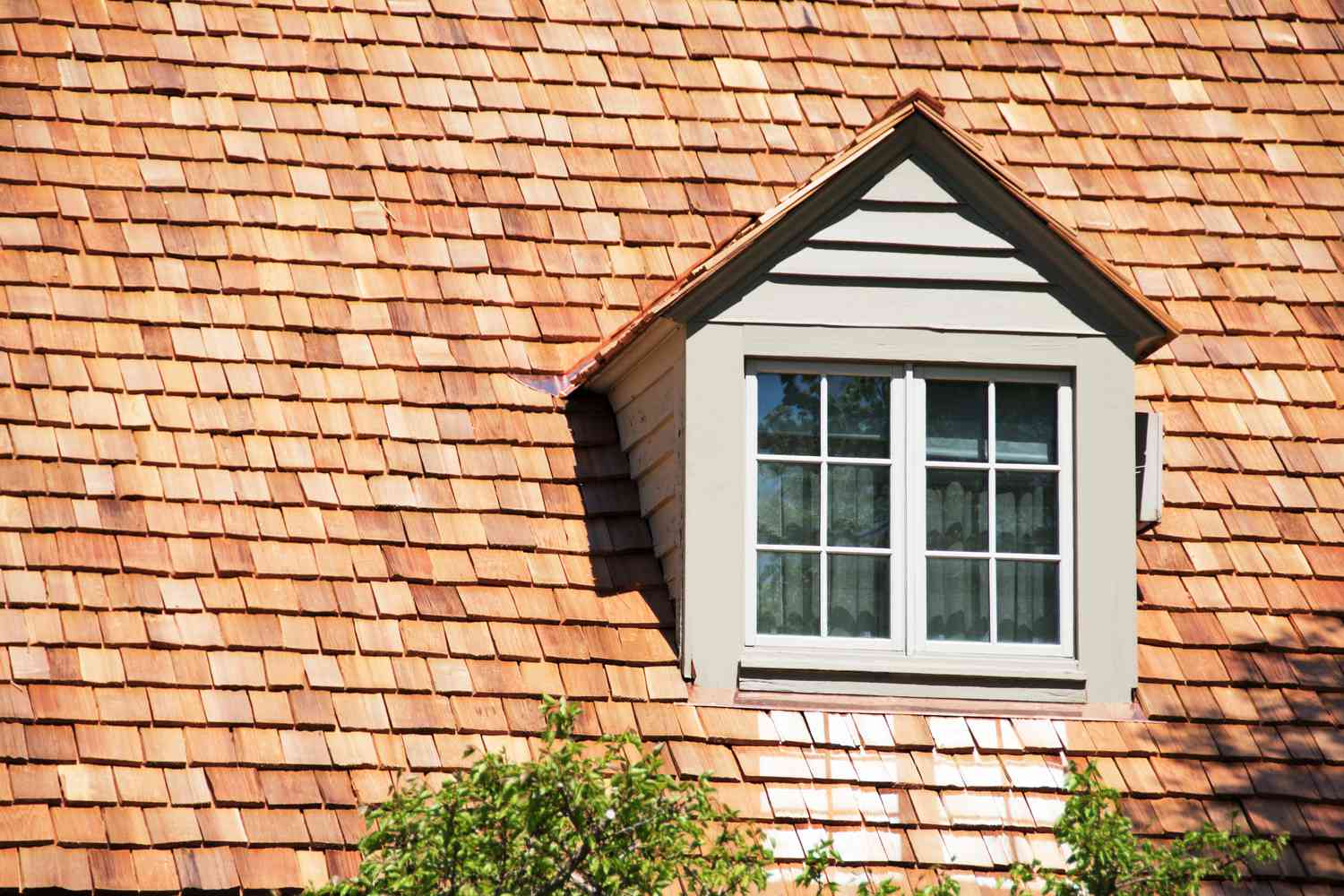 Transparent Roof Restoration
